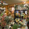 Store 1